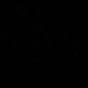 Meet your Posher, Carlee